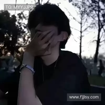 何鹰辉